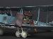 32005 1/32 Gotha G.IV LVG 991/16 MoRoTAS. Model built by Dean Reynolds (10)